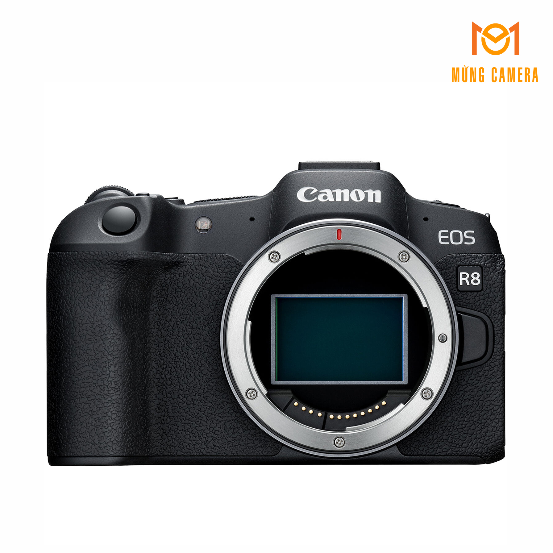 canon-eos-r8-6