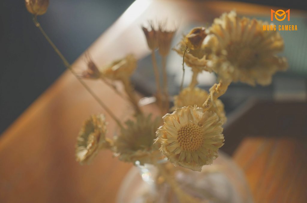 Máy ảnh Sony Alpha 7C II
