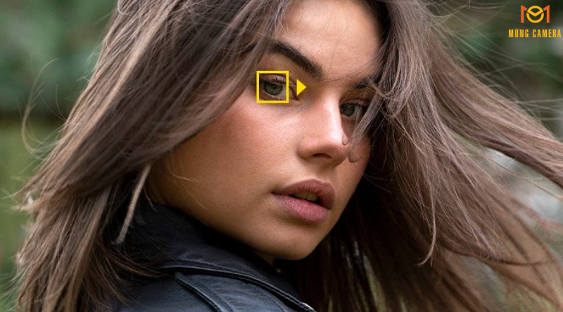 Lấy nét nhanh, không tiếng ồn