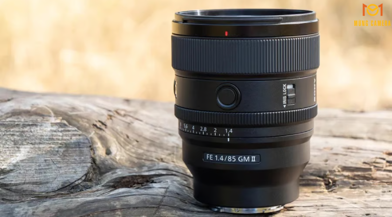 Thiết Kế Chuyên Nghiệp, Bền Bỉ