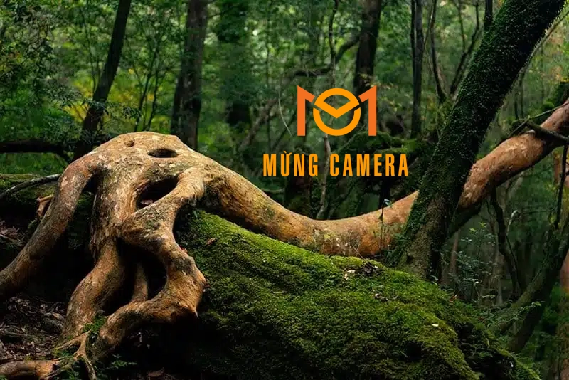 ỐNG KÍNH TAMRON 70-180MM F/2.8 DI III VXD CŨ